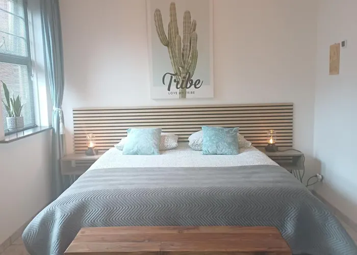 De Allerhof Хаттем